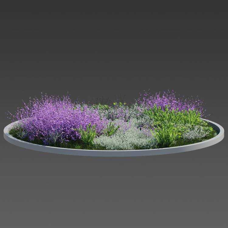 Forest Preset Field Plants 03 - Image rendue 1