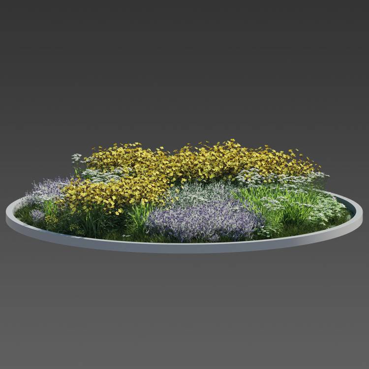 Forest Preset Field Plants 04 - Image rendue 1