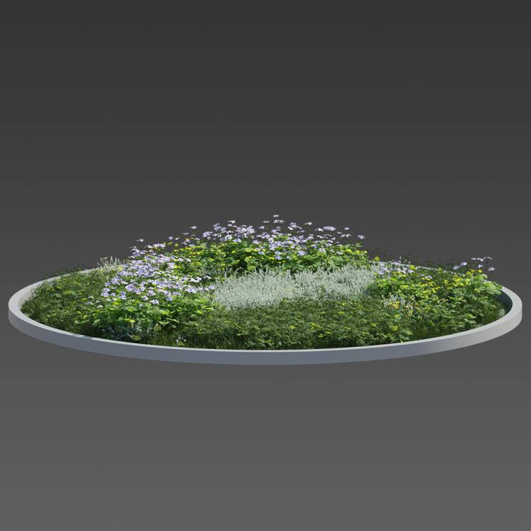 Forest Preset Field Plants 05 - Rendered Image 1