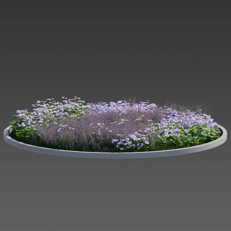 Forest Preset Flowering Plants 03 - Рендерированное изображение 1