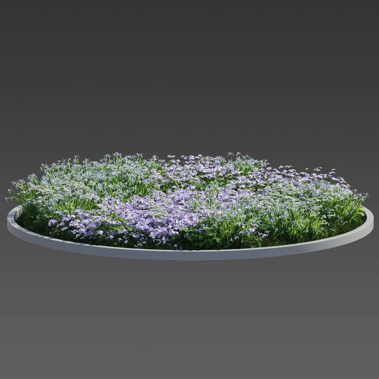 Forest Preset Flowering Plants 05 - Рендерированное изображение 1