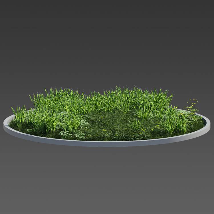 Forest Preset Green Plants 02 - Рендерированное изображение 1