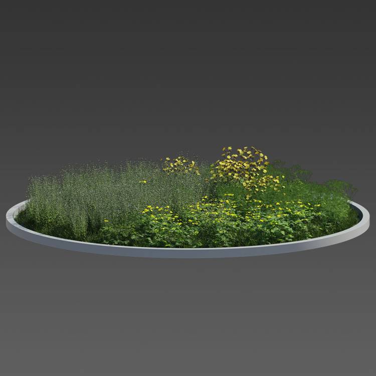 Forest Preset Green Plants 04 - Рендерированное изображение 1