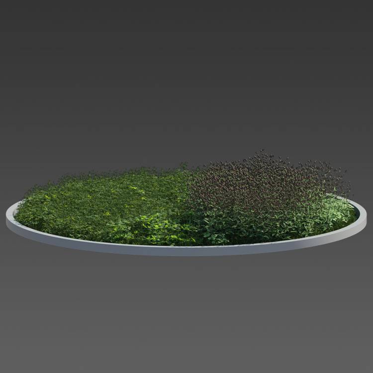 Forest Preset Green Plants 05 - Rendered Image 1