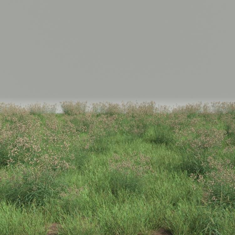 FP Preset Common Grass Field Mixed1 - Imagen renderizada 1