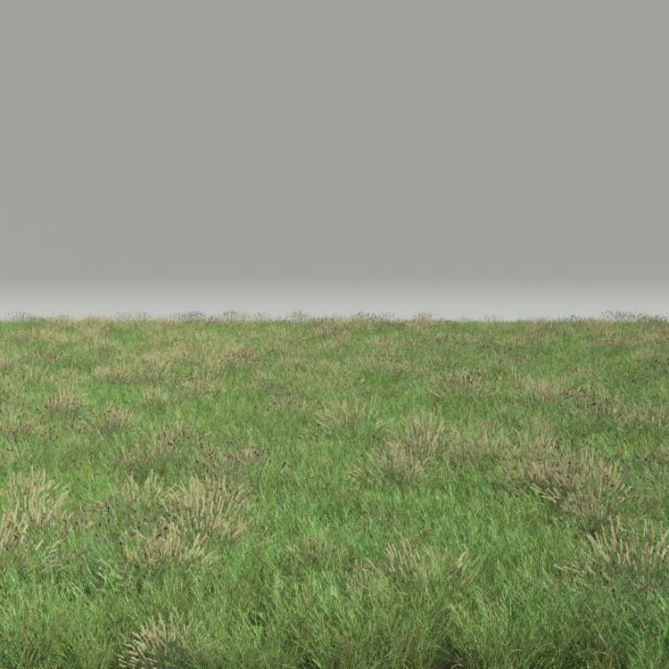 FP Preset Common Grass Field Mixed2 - Рендерированное изображение 1