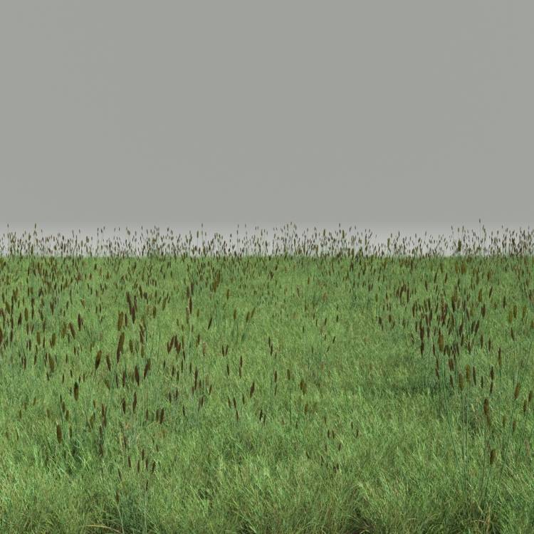 FP Preset Common Grass Field Mixed3 - Рендерированное изображение 1