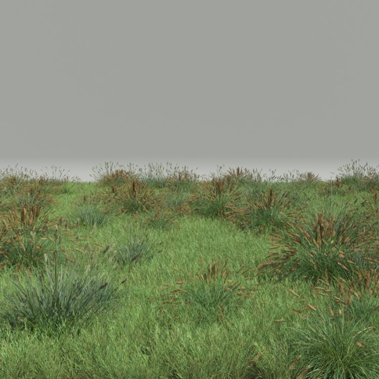 FP Preset Common Grass Field Mixed4 - Рендерированное изображение 1