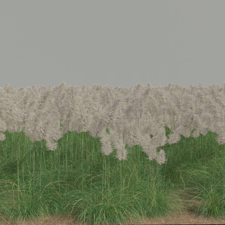 FP Preset Field 1 - Pampas grass - Imagen renderizada 1