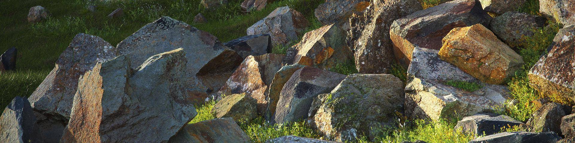 Creating Environments with Megascans