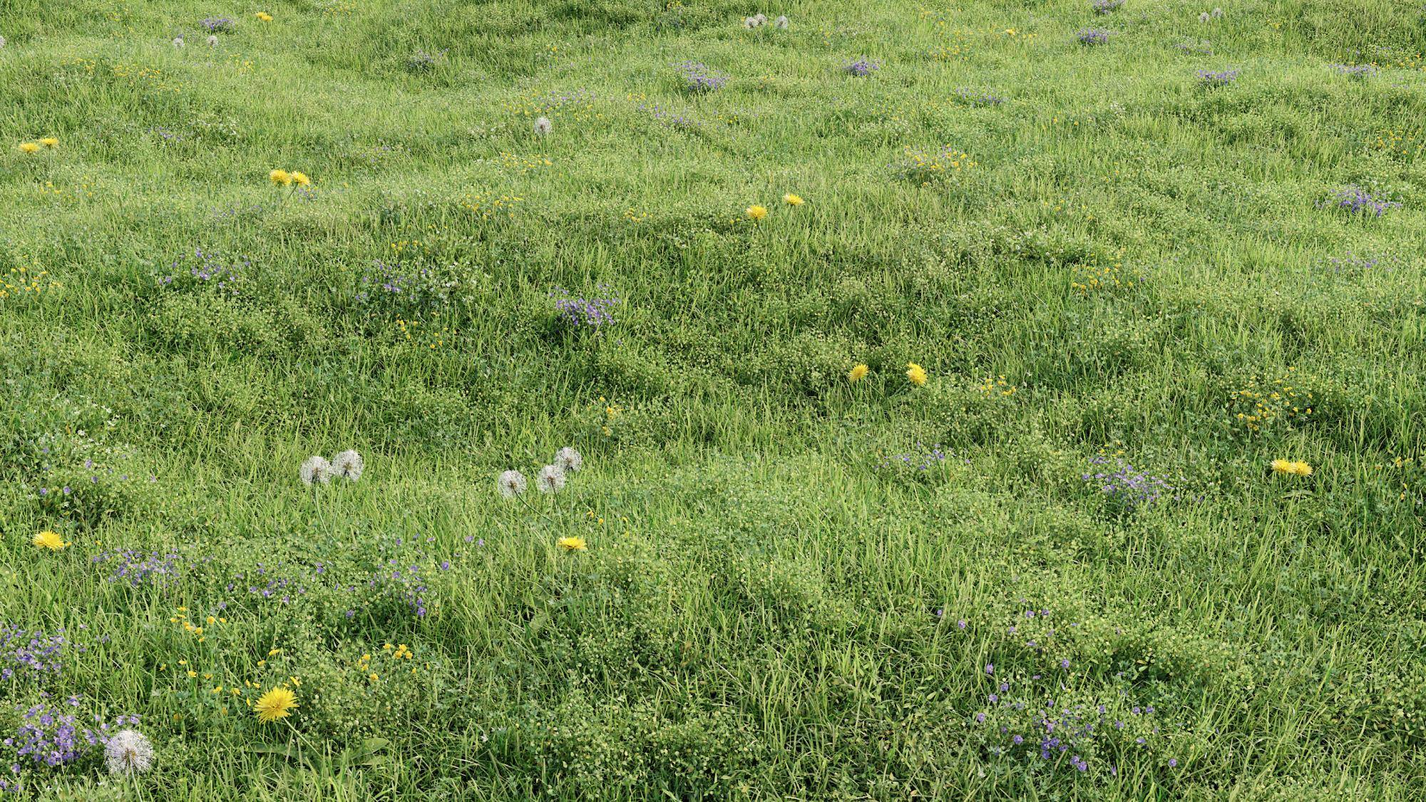 Creating Presets Libraries