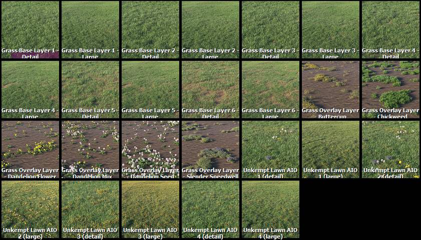 New Forest Pack 6 - 001876797d2bf0b694118516a97146df