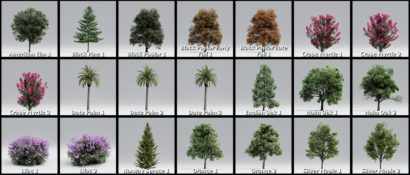 New Forest Pack 6 - 1de5f21efc82f4c2b3d14c9bd2cdbf8d