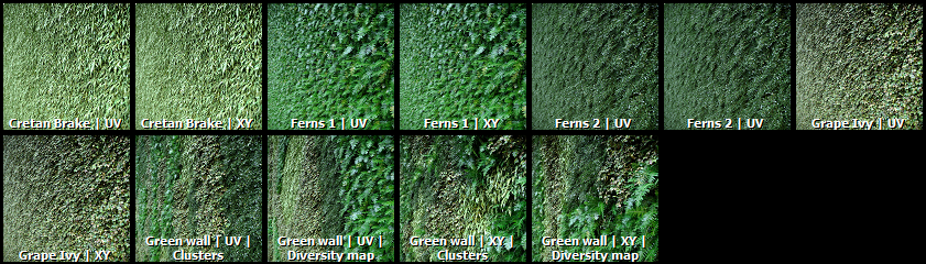 New Forest Pack 6 - 5c1a1eb515d02