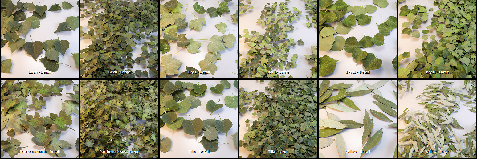 New photoscanned rocks and leaves presets - 5c1a1eeb21120