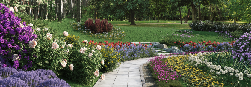 New Bushes and Flowers library