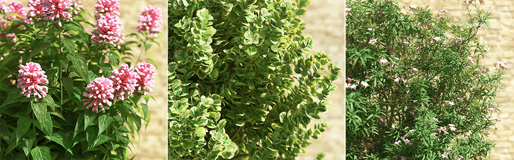 Bushes and Flowers vol.2