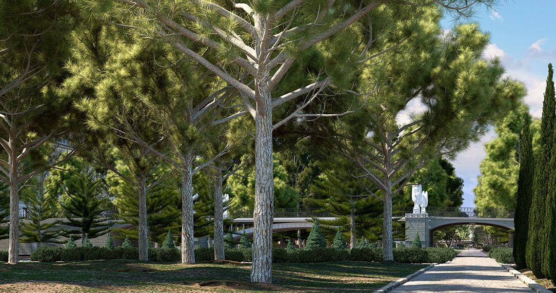 New Mediterranean Pine Trees Collection