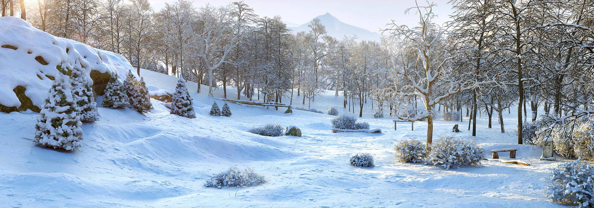 New Winter Trees Volume 2 collection