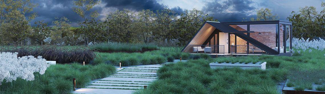 New Field Grasses and Plants collection