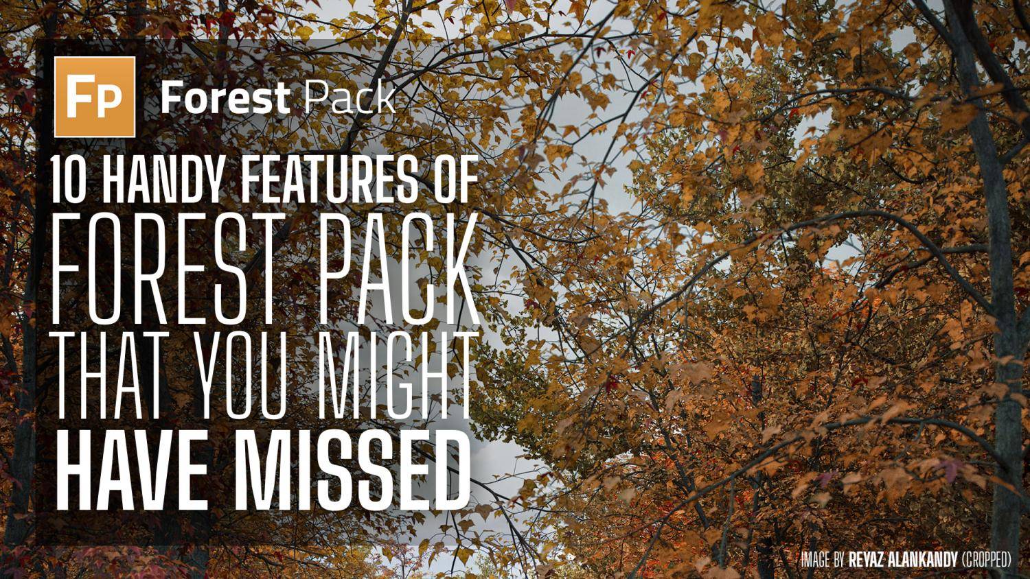 News - 10 handy features of Forest Pack that you might have missed