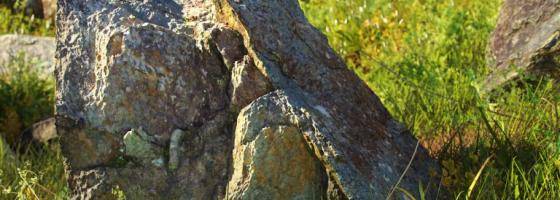 Creating Environments with Megascans