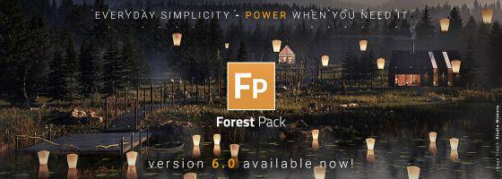 New Forest Pack 6