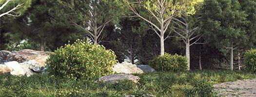 Ground Cover Vol. 1 for Forest Pack
