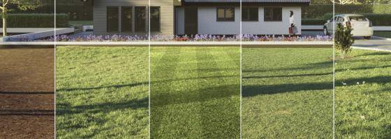 Creating realistic wild, mown and striped grass in 3ds Max