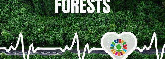 The only trees in our future mustn't be digital