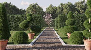 New Tutorial: How to create Boxwood shrubs with Forest Pack in 3ds Max