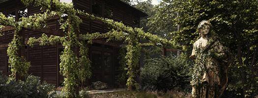 ForestPack 9 and ForestIvy webinar recording now available