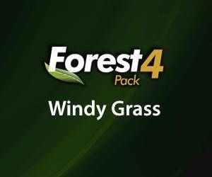 Windy Grass