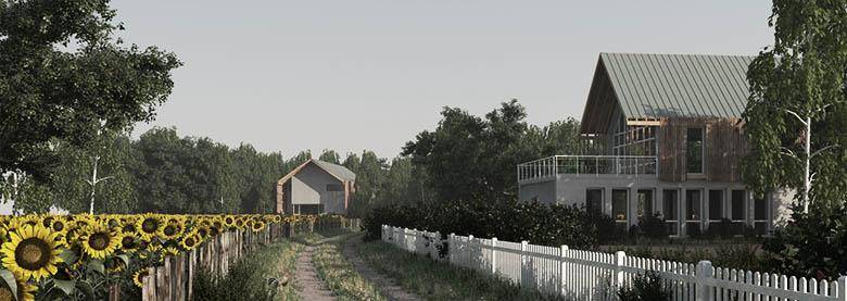 Bushes-nolawn.jpg