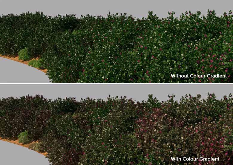 Adding Variations forest Colour