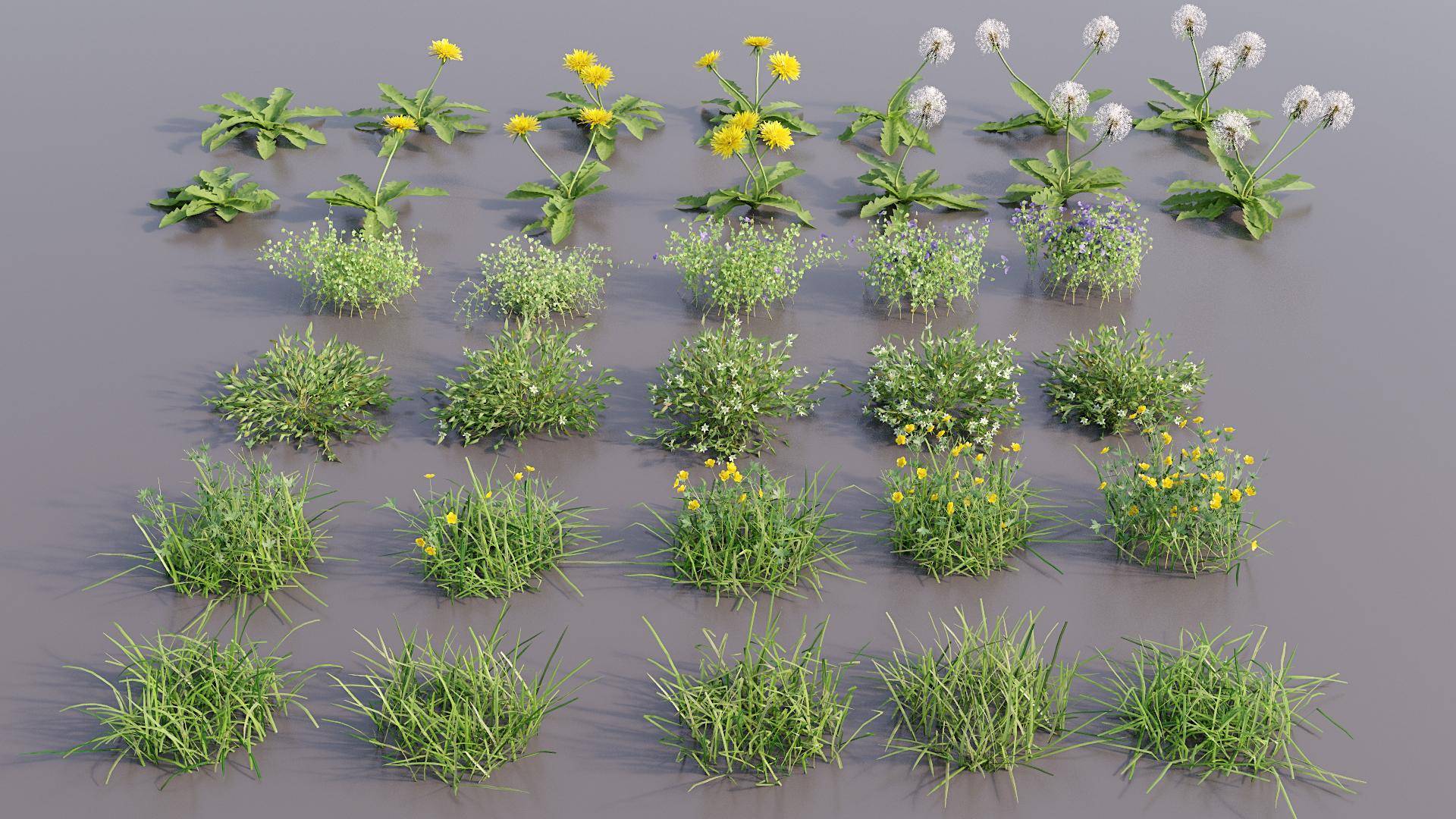 Creating Libraries-plants.jpg