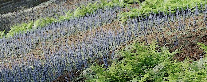 Randomising Procedural Objects-image2016-2-26 13:12:41.png