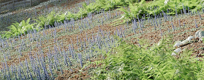 Randomising Procedural Objects-image2016-2-26 13:12:52.png