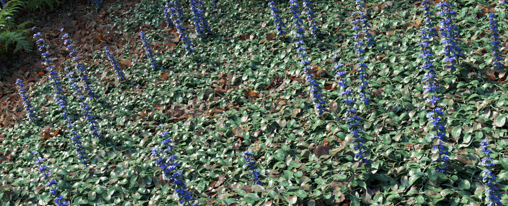 Randomising Procedural Objects-image2016-2-26 17:33:4.png