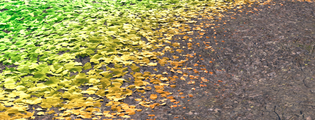 Introducing Forest Effects-image2016-5-27 11:30:8.png