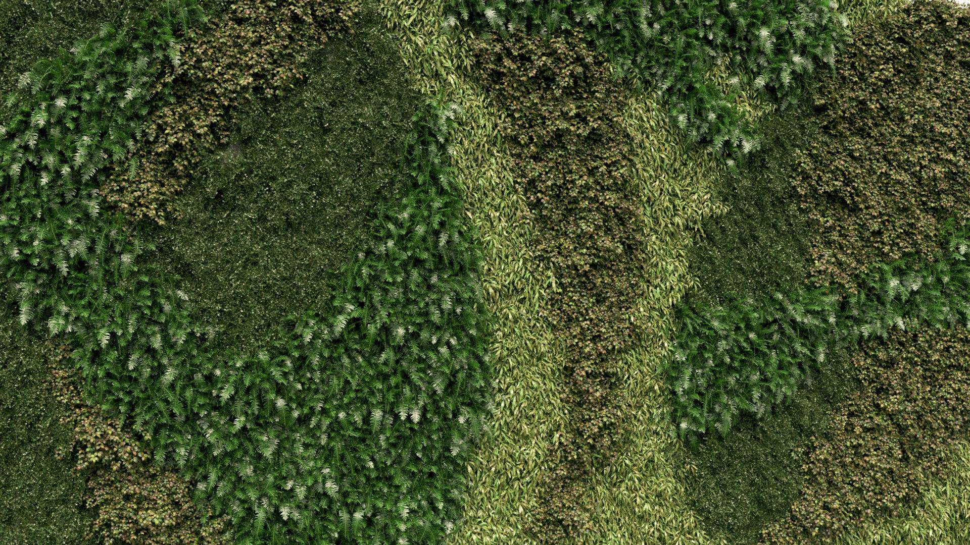 Scattering on Vertical Surfaces-patterned.jpg