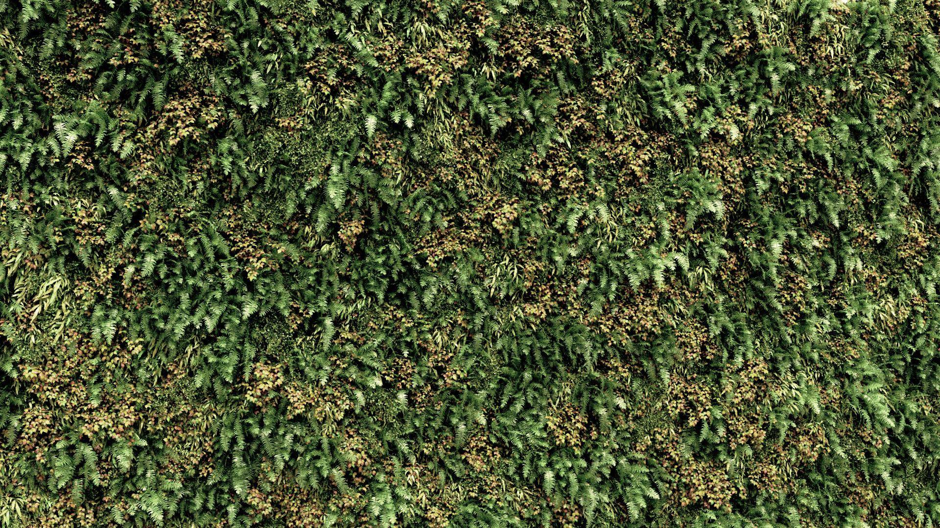 Scattering on Vertical Surfaces-randomised.jpg