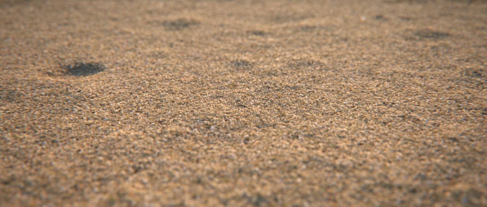 Creating detailed sand with Forest Pack-sand_final_comp_.jpg