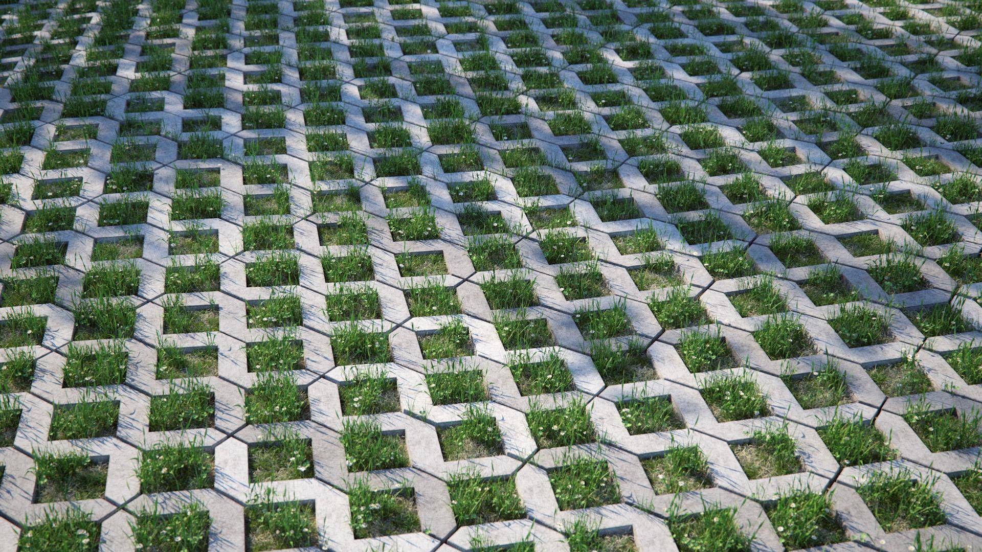 Combining Concrete Paving and Grass