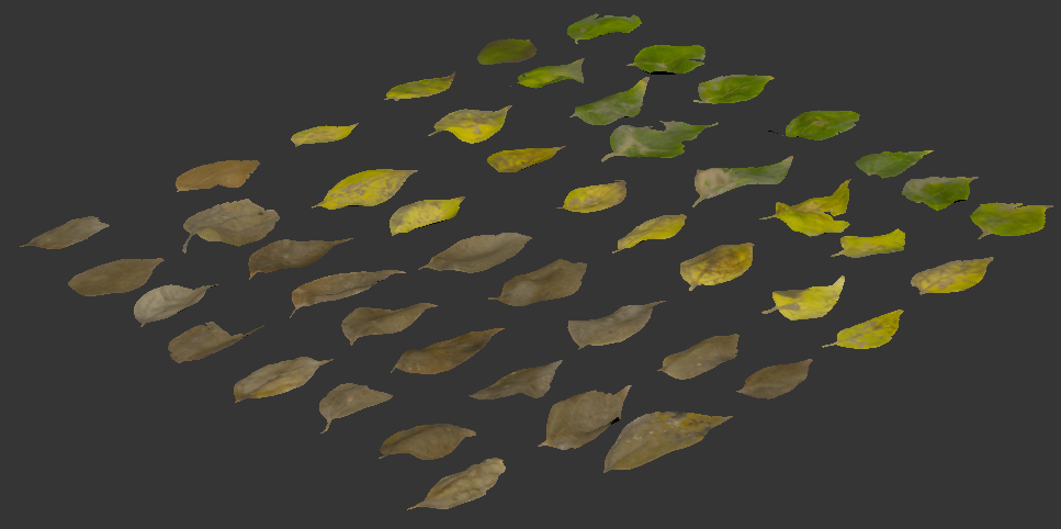 Using Megascans products with Forest Pack-image2017-9-11_22-11-59.png