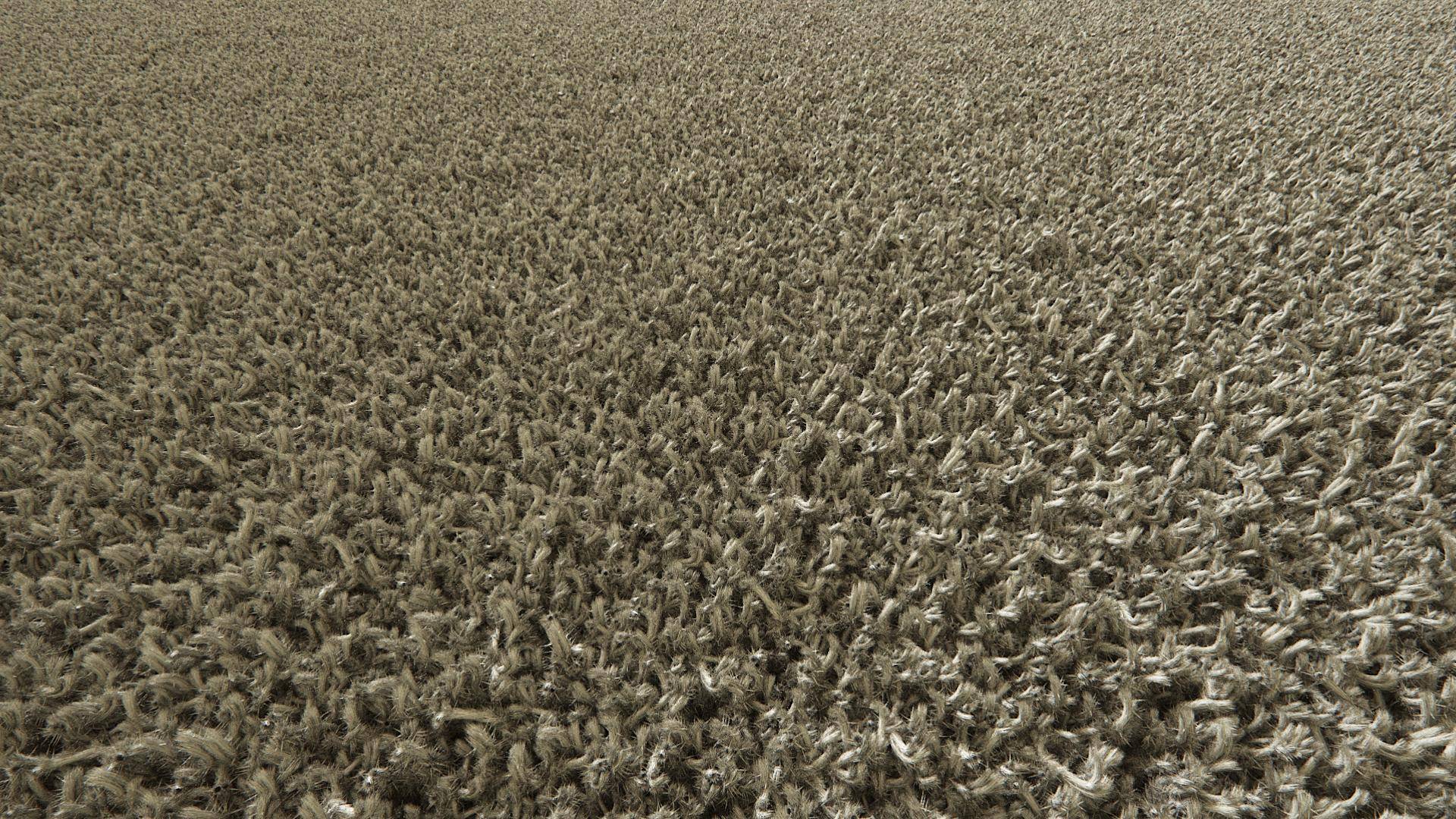 Floor and Rugs-step22.jpg