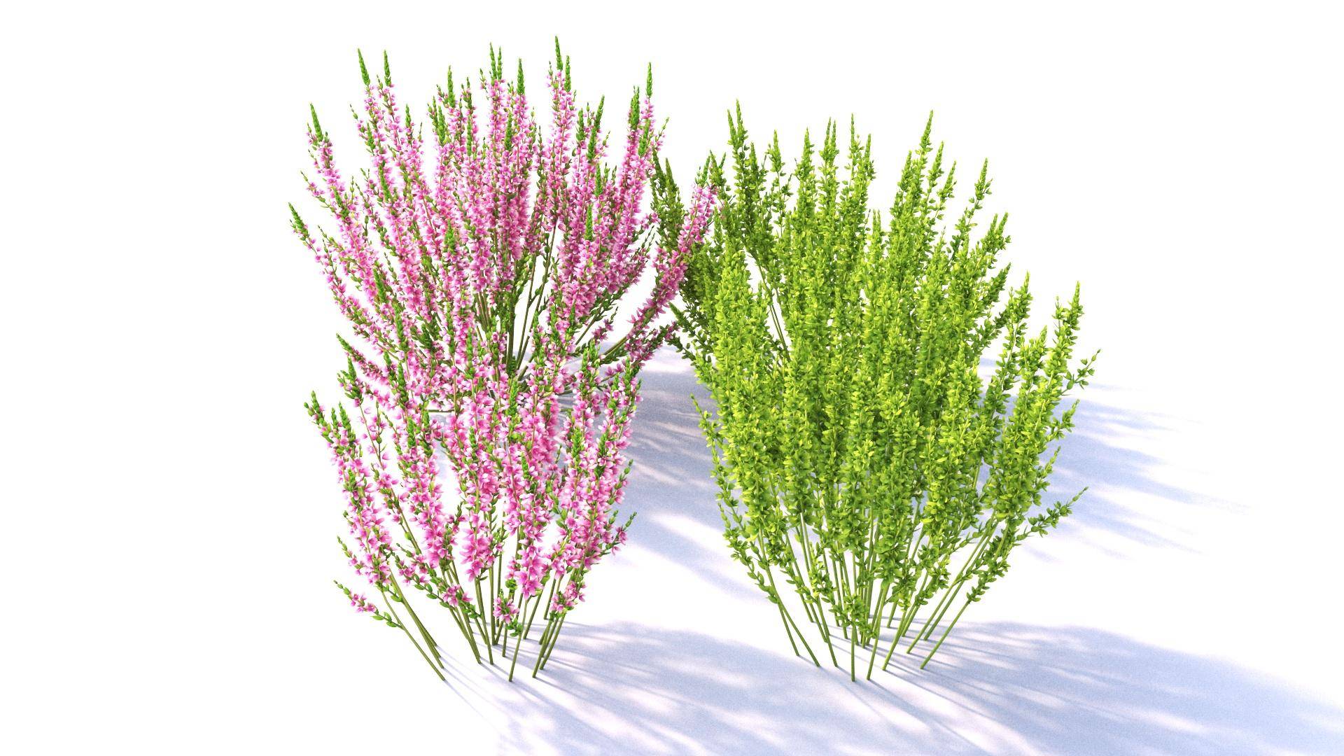 Create nature scenes in no time-heathermodels.jpg