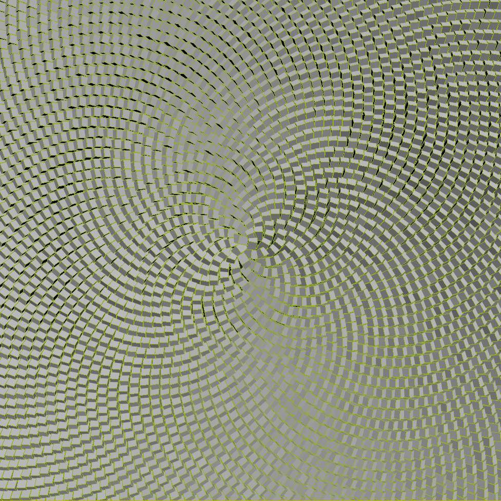 Sunflower seed effect