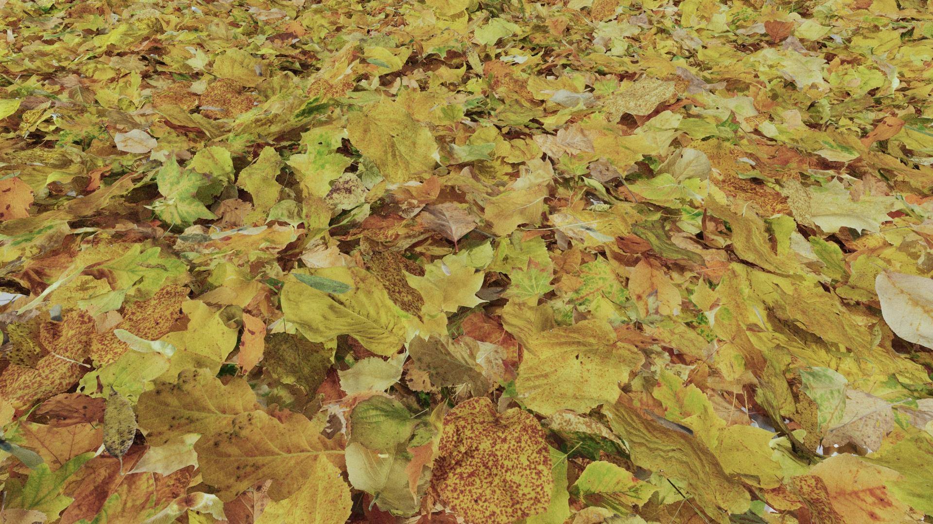Tutorial How to quickly add fallen leaves to your 3ds Max scenes