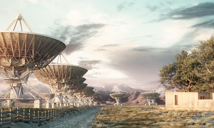 Animating in Forest Pack 2